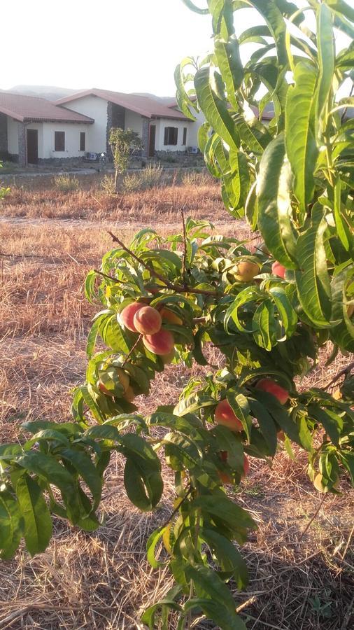 Agriturismo Gennemara B&B Perdaxius 外观 照片