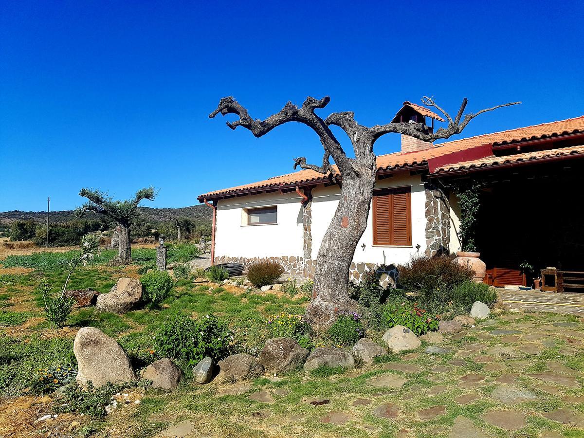 Agriturismo Gennemara B&B Perdaxius 外观 照片